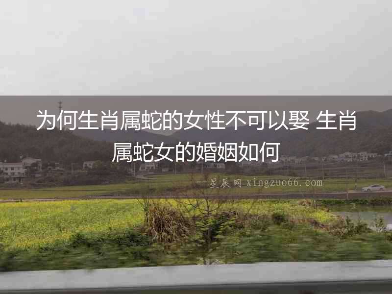 為何生肖屬蛇的女性不可以娶 生肖屬蛇女的婚姻如何