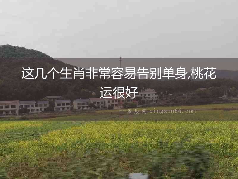 這幾個(gè)生肖非常容易告別單身,桃花運(yùn)很好