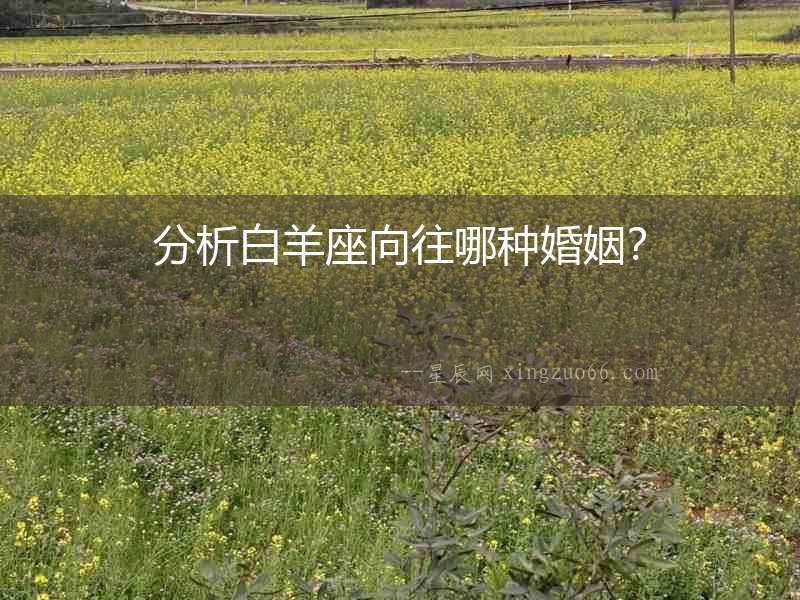 分析白羊座向往哪種婚姻？