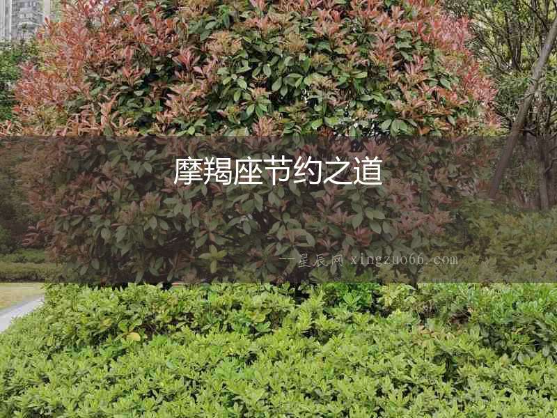 摩羯座節約之道