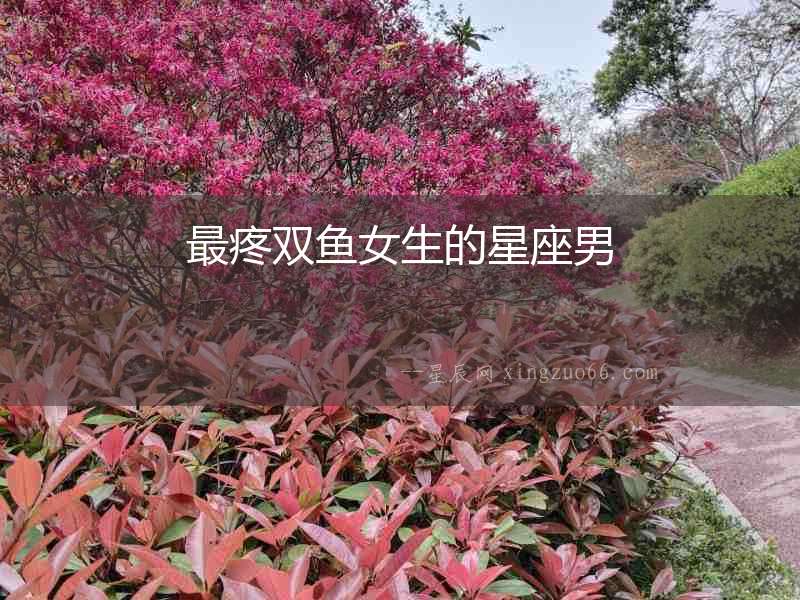 最疼雙魚女生的星座男