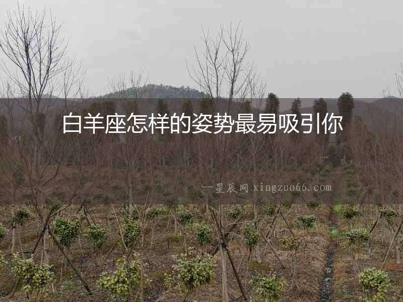 白羊座怎樣的姿勢最易吸引你