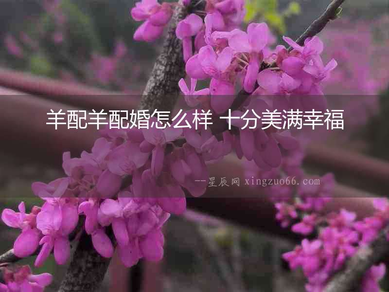 羊配羊配婚怎么樣 十分美滿幸福
