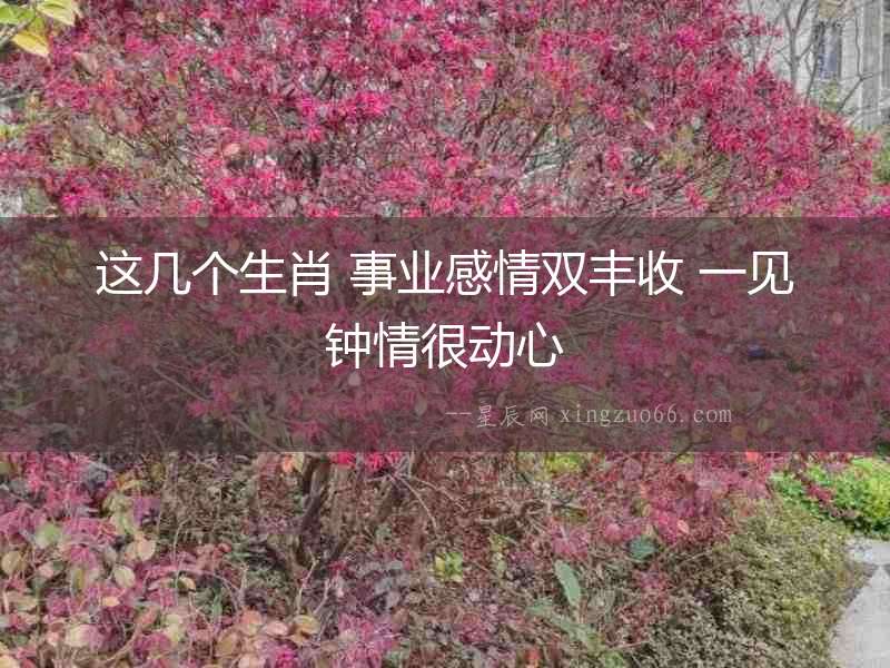 這幾個生肖 事業感情雙豐收 一見鐘情很動心
