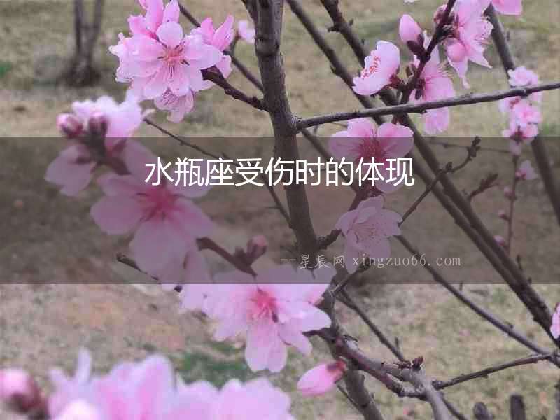 水瓶座受傷時的體現