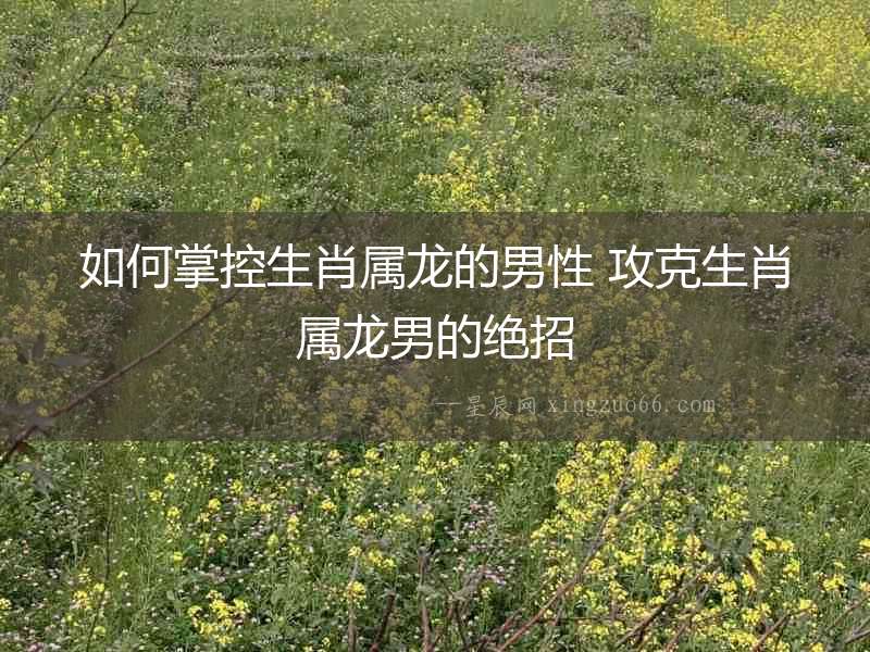 如何掌控生肖屬龍的男性 攻克生肖屬龍男的絕招
