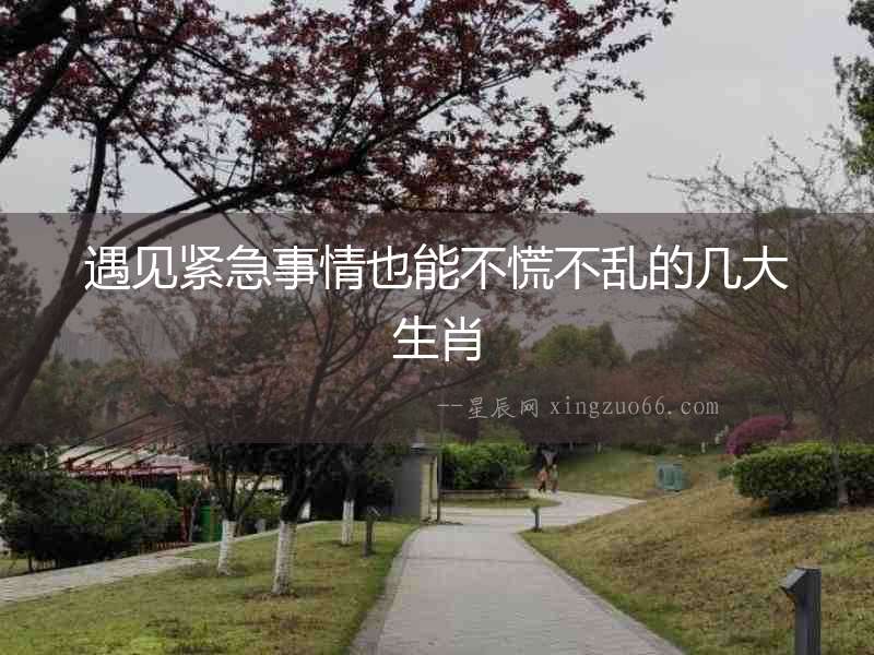 遇見緊急事情也能不慌不亂的幾大生肖