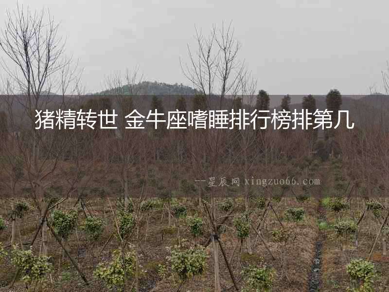 豬精轉世 金牛座嗜睡排行榜排第幾