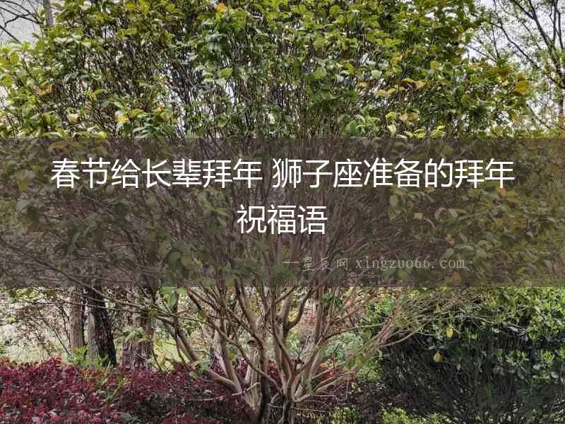 春節(jié)給長(zhǎng)輩拜年 獅子座準(zhǔn)備的拜年祝福語