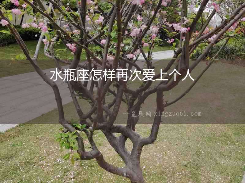 水瓶座怎樣再次愛上個人