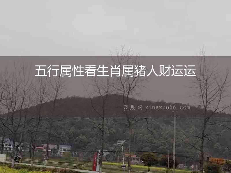 五行屬性看生肖屬豬人財(cái)運(yùn)運(yùn)