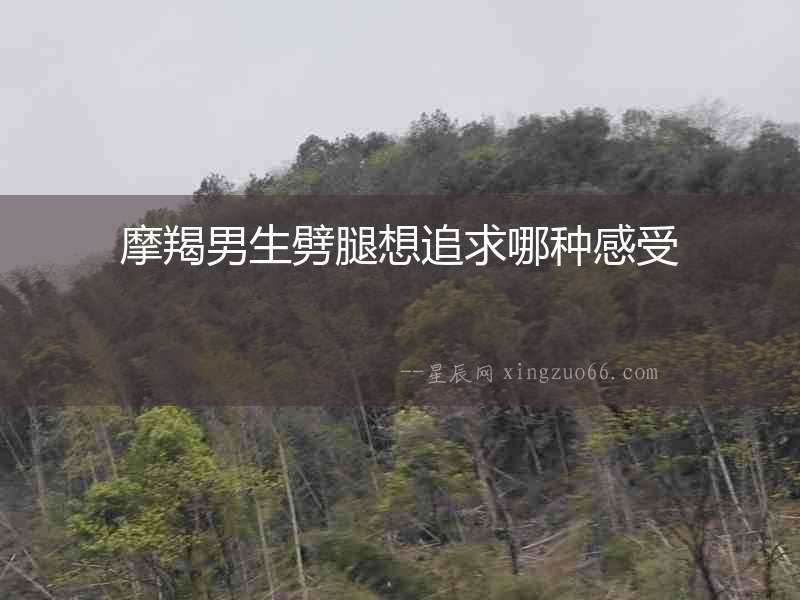 摩羯男生劈腿想追求哪種感受