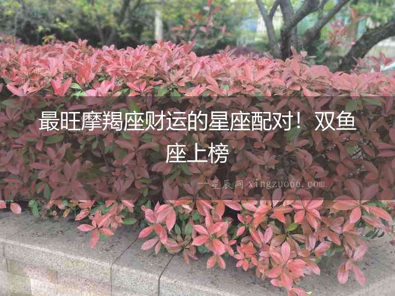 最旺摩羯座財運的星座配對！雙魚座上榜
