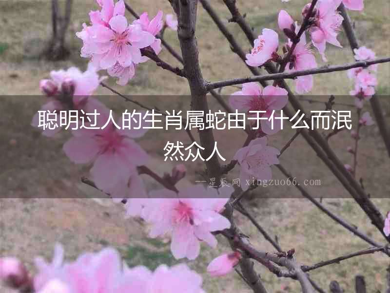 聰明過人的生肖屬蛇由于什么而泯然眾人