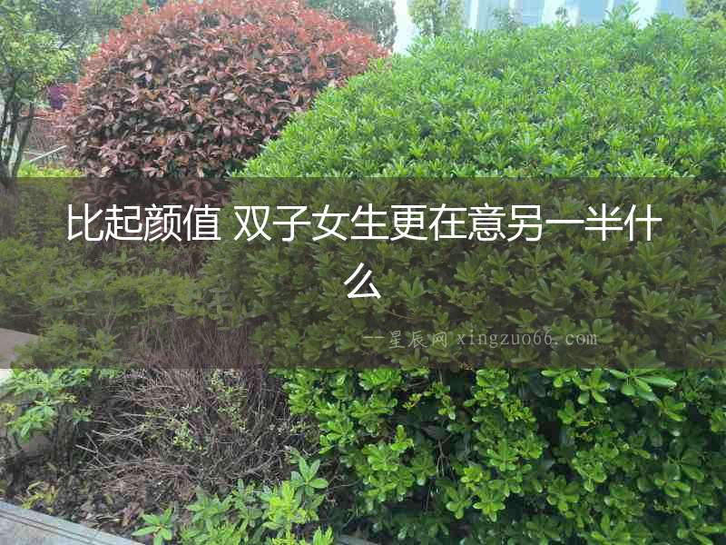 比起顏值 雙子女生更在意另一半什么