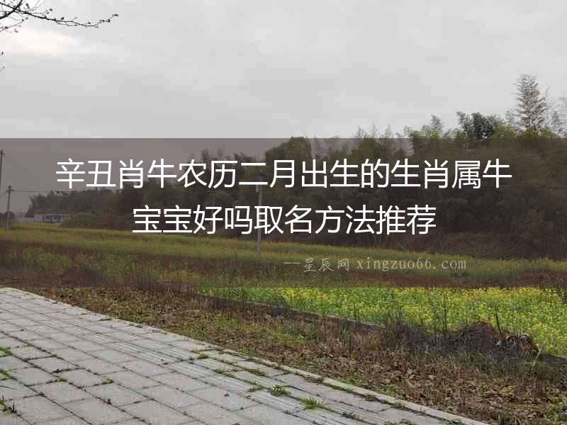 辛丑肖牛農歷二月出生的生肖屬牛寶寶好嗎取名方法推薦