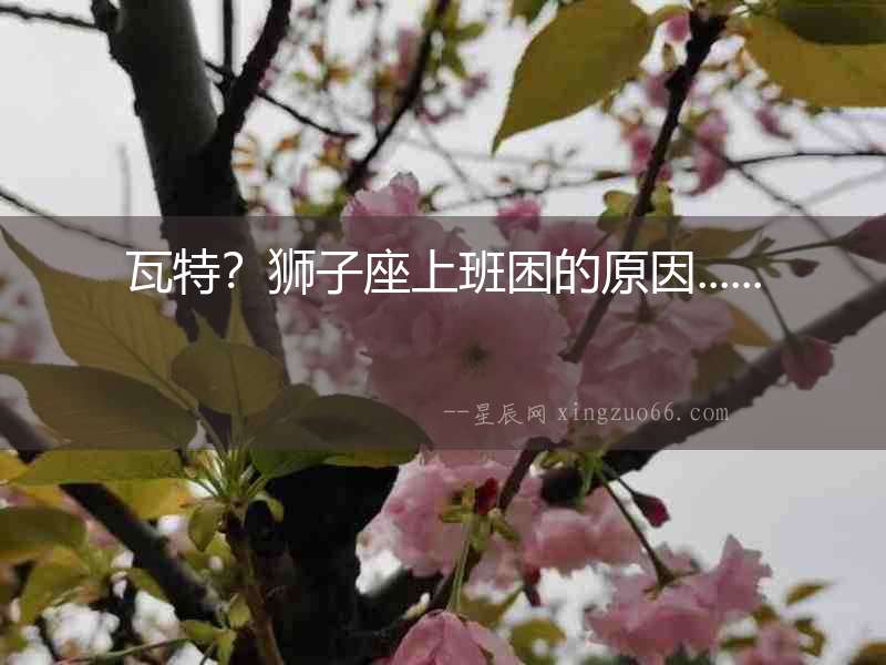 瓦特？獅子座上班困的原因......