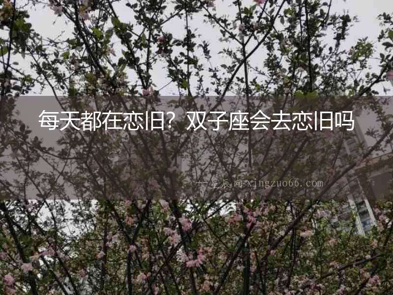 每天都在戀舊？雙子座會去戀舊嗎
