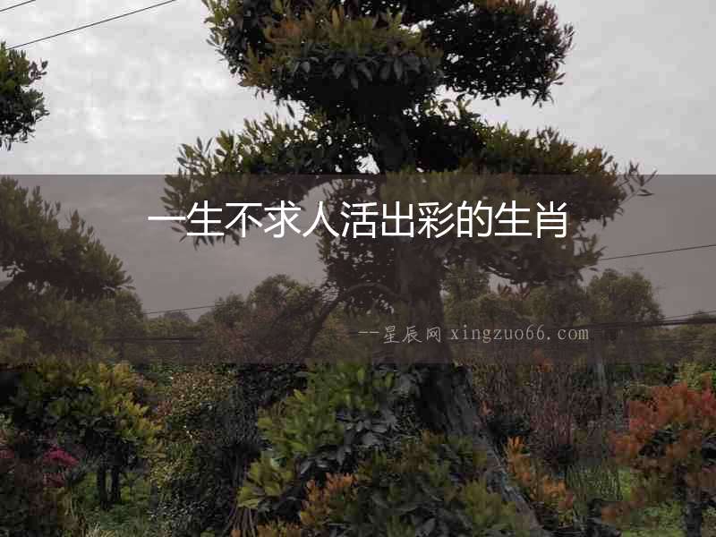 一生不求人活出彩的生肖