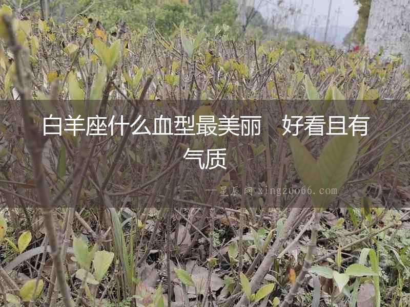 白羊座什么血型最美麗   好看且有氣質