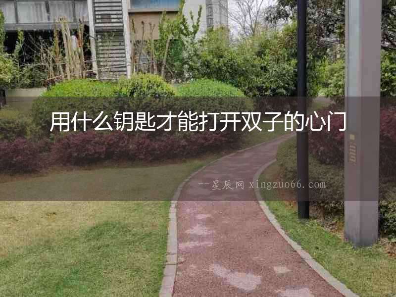 用什么鑰匙才能打開雙子的心門