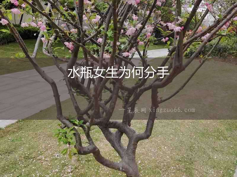 水瓶女生為何分手