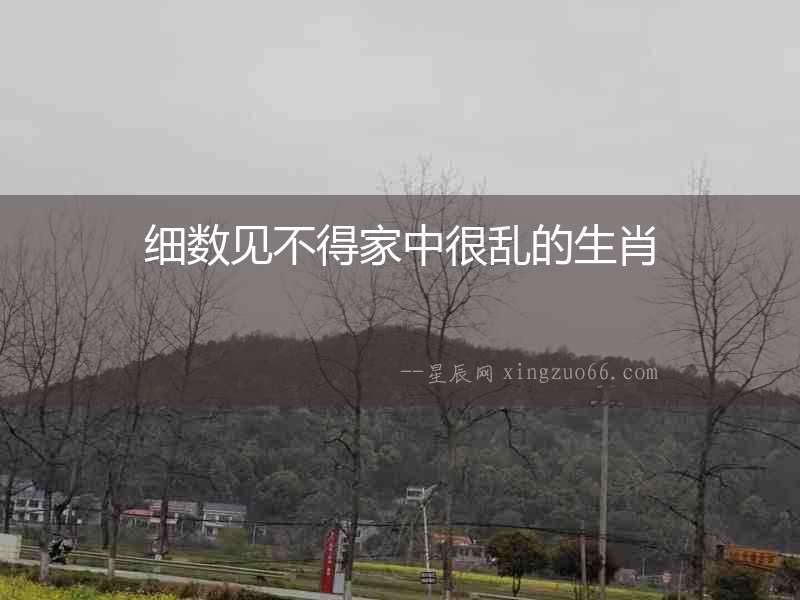 細數見不得家中很亂的生肖