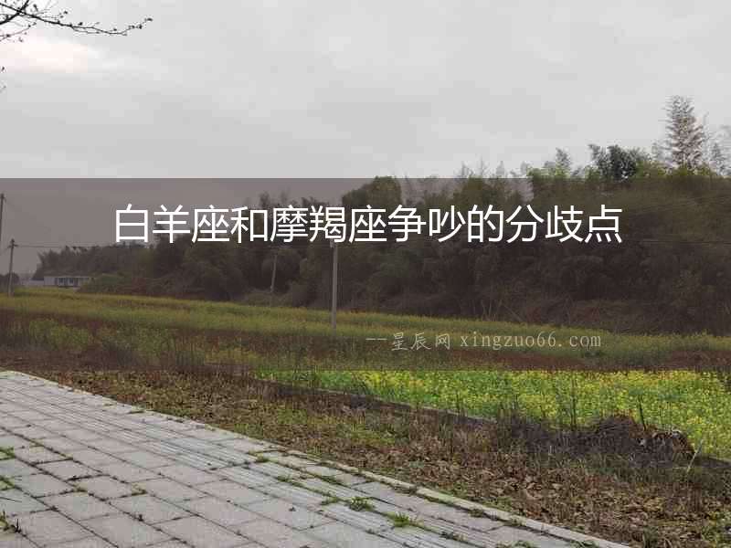 白羊座和摩羯座爭吵的分歧點