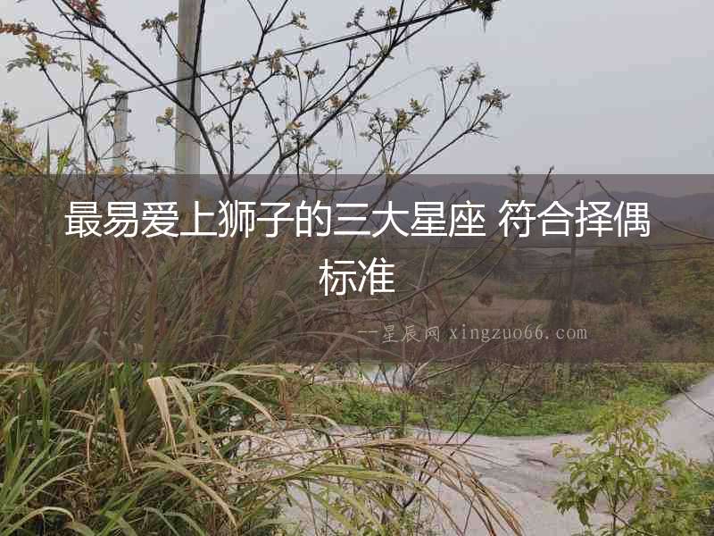 最易愛上獅子的三大星座 符合擇偶標準