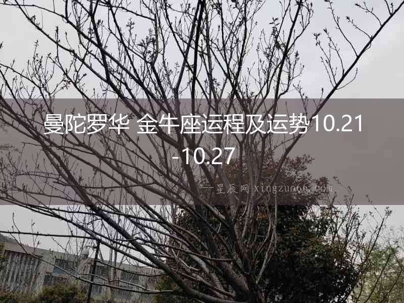 曼陀羅華 金牛座運程及運勢10.21-10.27
