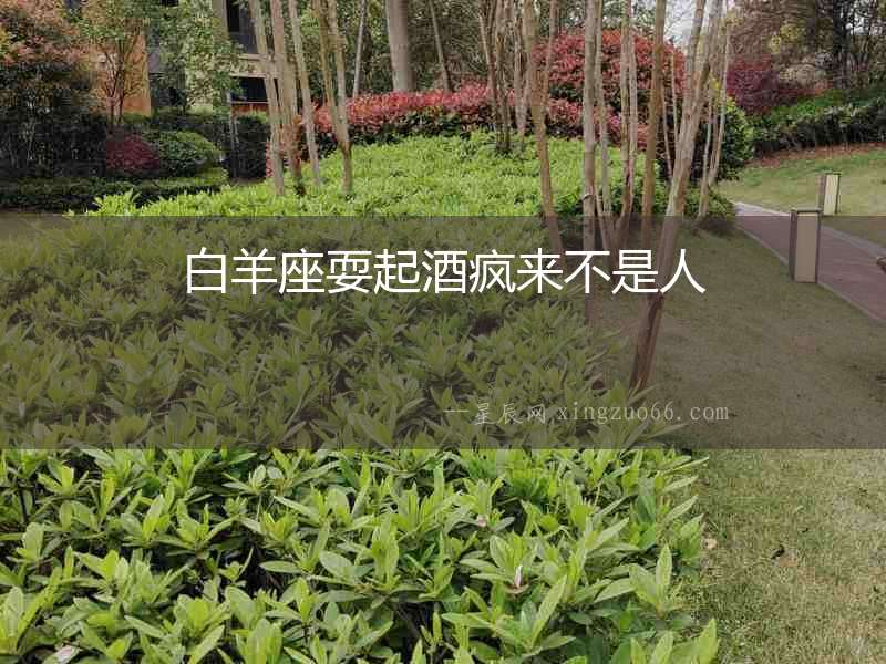 白羊座耍起酒瘋來不是人