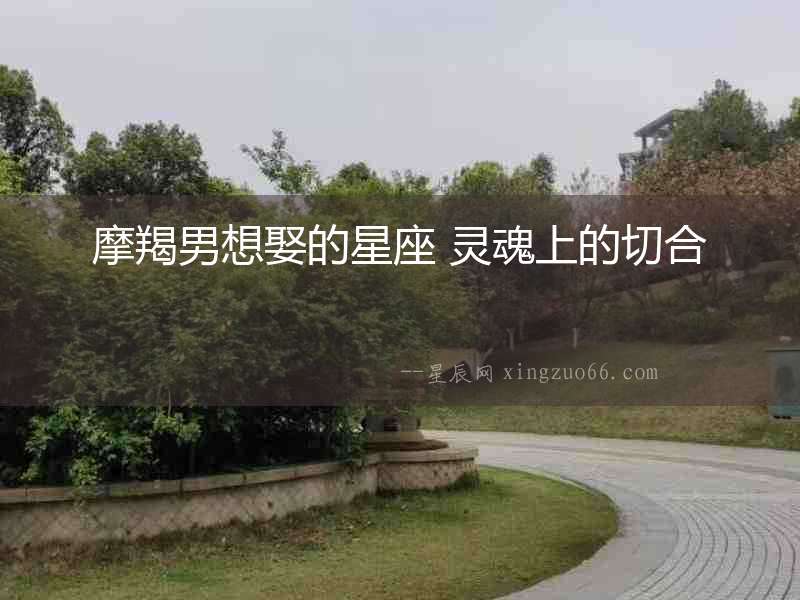 摩羯男想娶的星座 靈魂上的切合