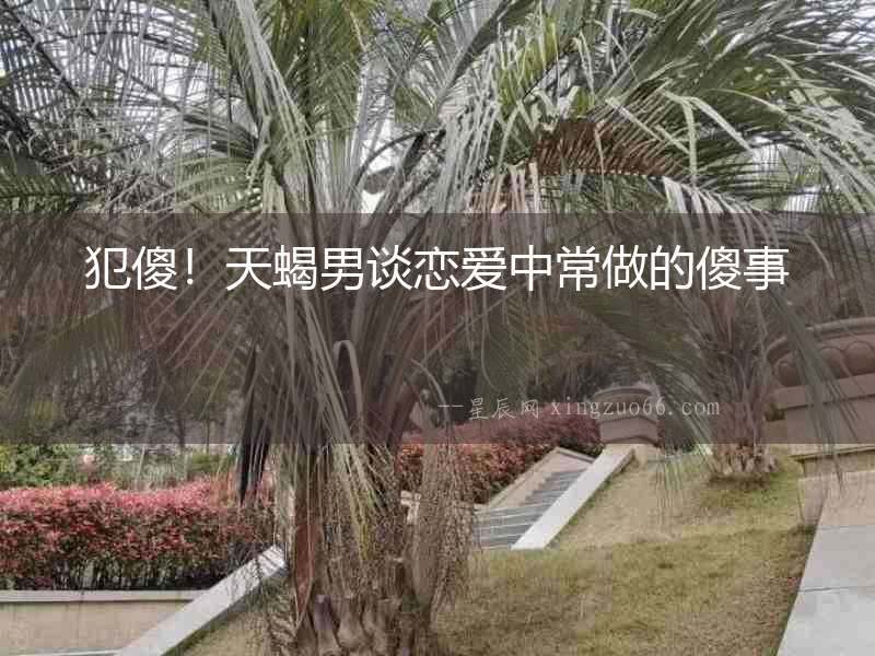 犯傻！天蝎男談戀愛中常做的傻事