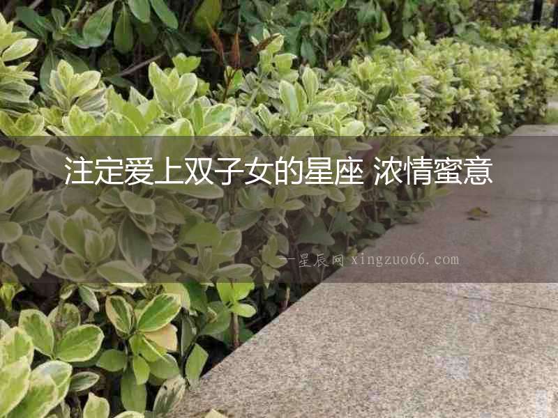 注定愛上雙子女的星座 濃情蜜意