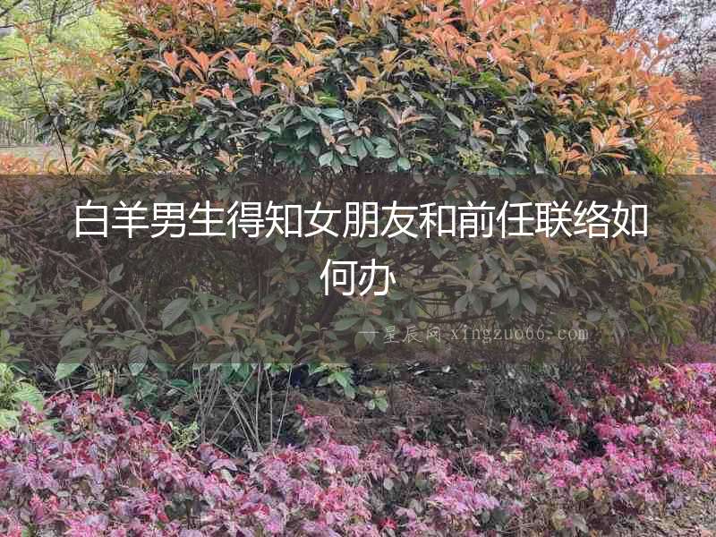 白羊男生得知女朋友和前任聯(lián)絡如何辦