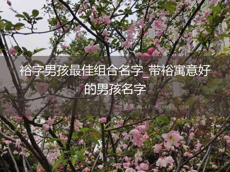 裕字男孩最佳組合名字_帶裕寓意好的男孩名字