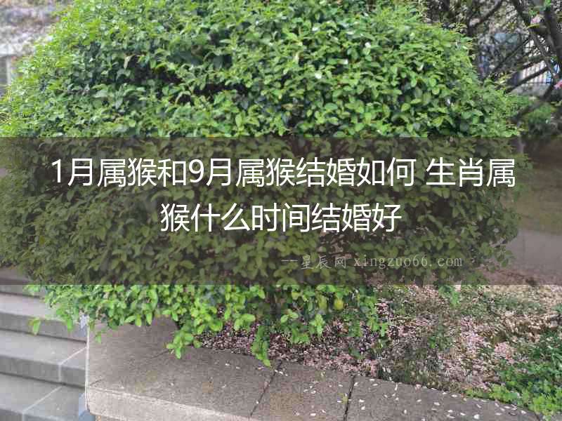 1月屬猴和9月屬猴結婚如何 生肖屬猴什么時間結婚好