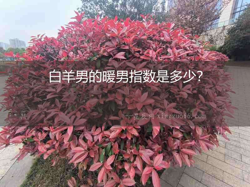 白羊男的暖男指數是多少？
