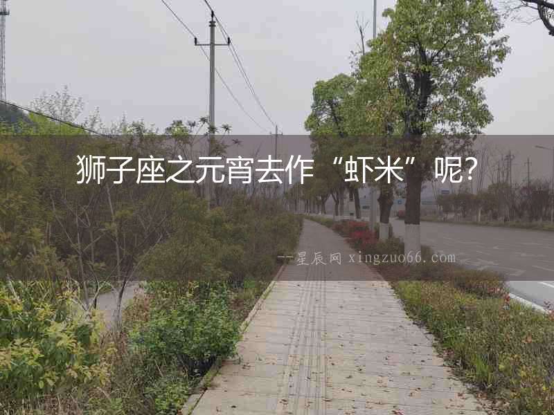 獅子座之元宵去作“蝦米”呢？