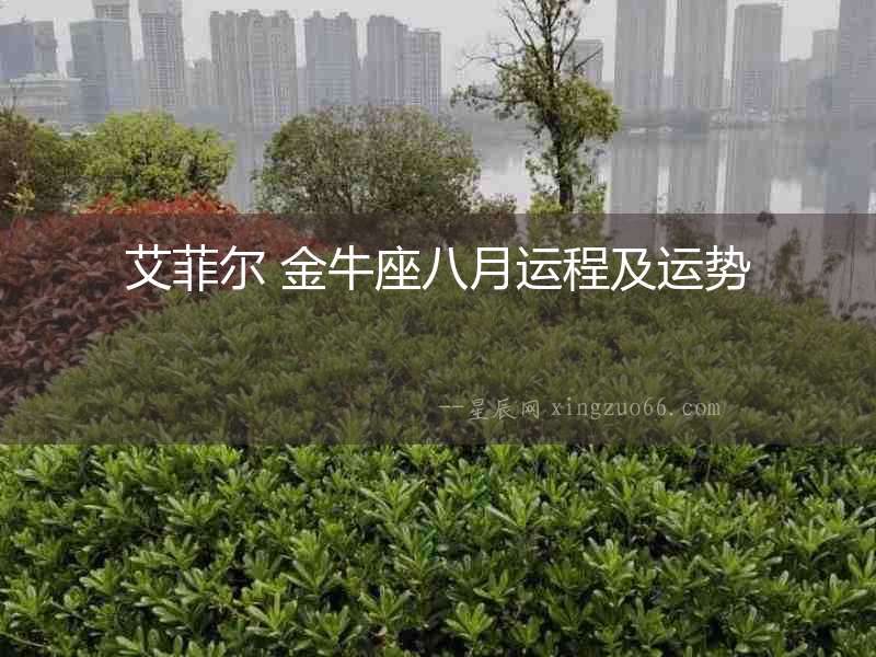 艾菲爾 金牛座八月運程及運勢