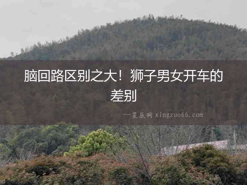 腦回路區別之大！獅子男女開車的差別