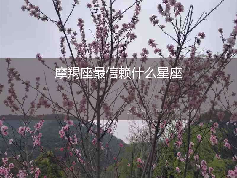 摩羯座最信賴什么星座