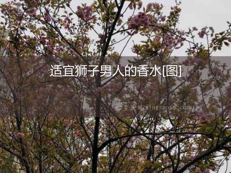 適宜獅子男人的香水[圖]