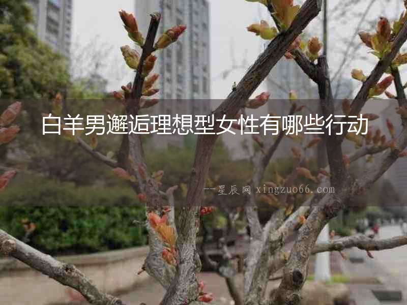 白羊男邂逅理想型女性有哪些行動