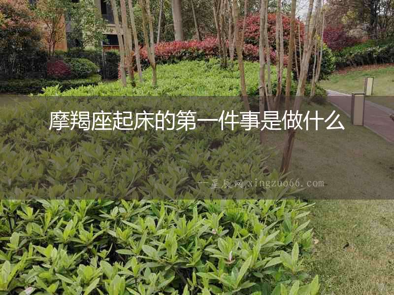 摩羯座起床的第一件事是做什么