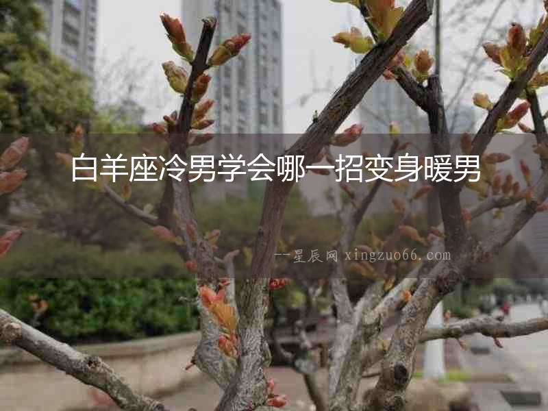 白羊座冷男學會哪一招變身暖男