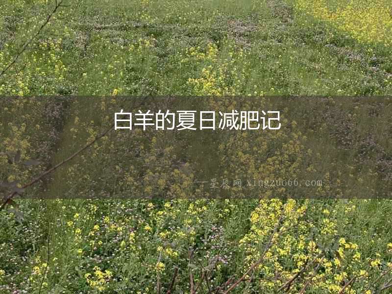 白羊的夏日減肥記