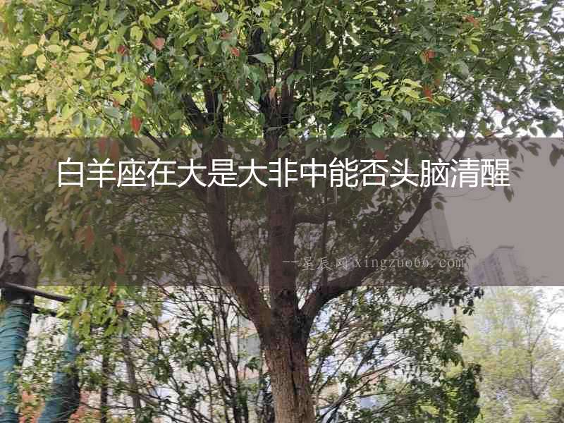 白羊座在大是大非中能否頭腦清醒