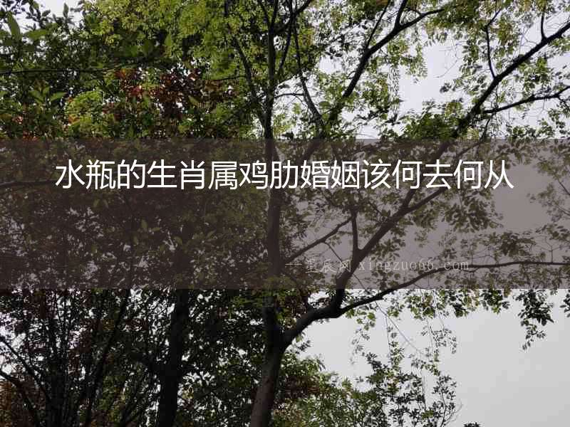 水瓶的生肖屬雞肋婚姻該何去何從