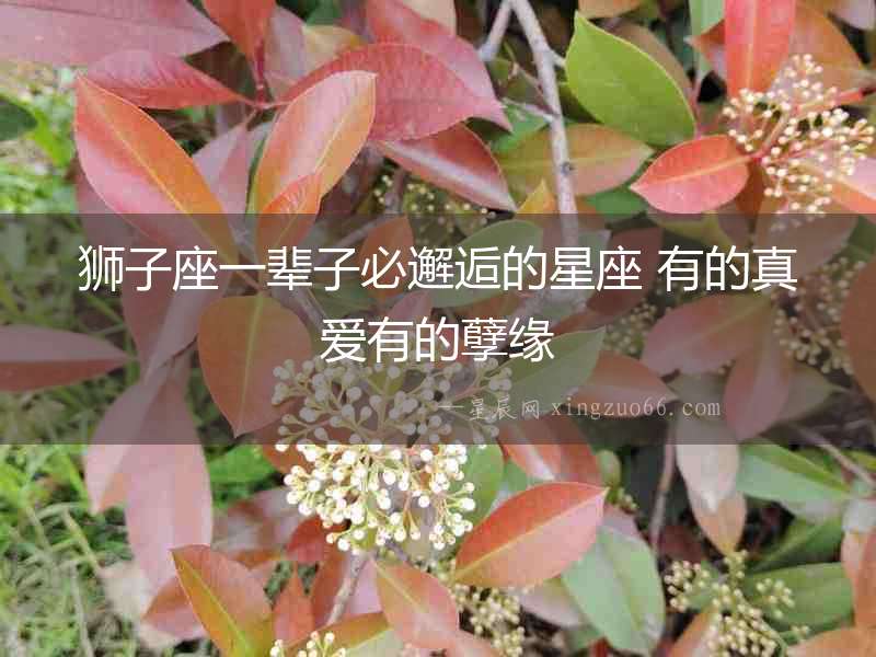 獅子座一輩子必邂逅的星座 有的真愛(ài)有的孽緣